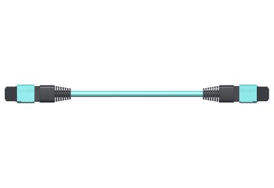 OptoSpan MGMG-KM424NXR05 OM4 100G MTP Connector (24F) Fiber Cable