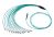 OptoSpan MGLC-FM414NXR01 OM4 100G MTP Connector (24F) Breakout Cable