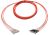 OptoSpan STSC-FM106NXP10 OM1 Plenum Breakout Cable