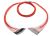 OptoSpan STSC-FM112NXP02 OM1 Plenum Fan-Out Fiber Cable
