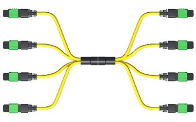 MTP Breakout Cable 12-Fiber Single-mode Parent