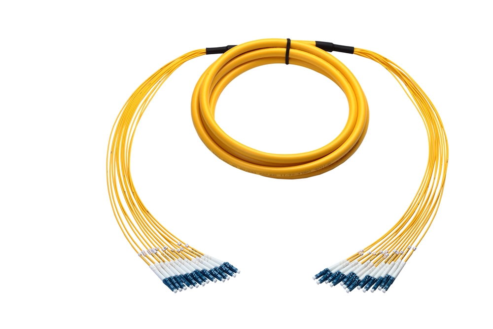 24-Fiber Plenum Armored Breakout Fiber Cable Single-mode 30 Meter LC-LC