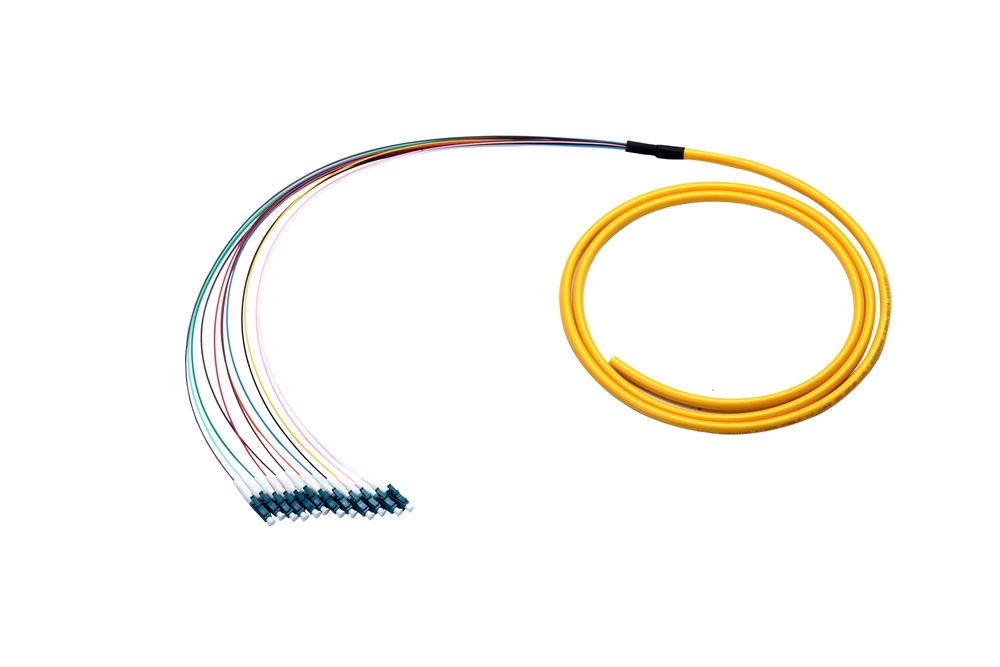 LC Fiber Pigtail 12-Fiber Single-mode 10ft