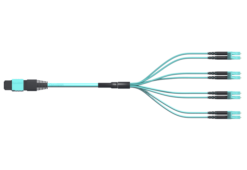 OptoSpan MTLC-FM308NXR01 OM3 MTP Breakout Cable