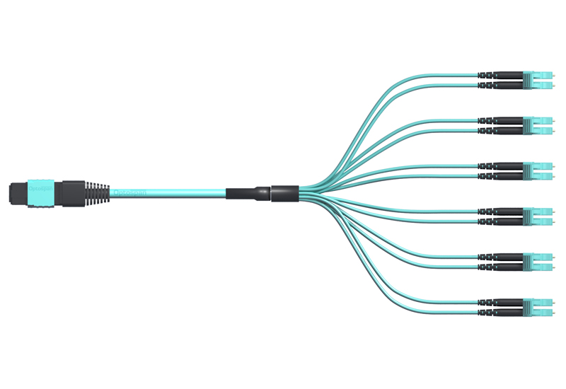MTP Breakout Cable 3ft 12-Fiber Multimode
