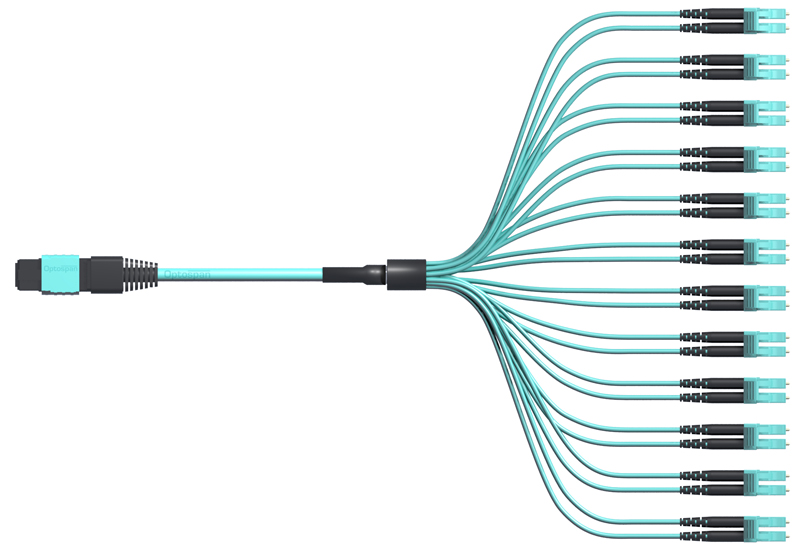 24-Fiber MTP Breakout Cable Multimode 3ft