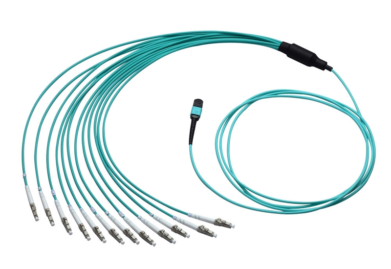 3ft 100G MTP Breakout Cable, 144 Core, Multimode