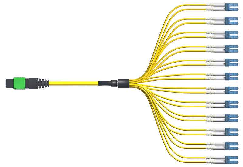 Single-mode Plenum 100G MTP Fanout Cable, 24 Strand, 1 Meter