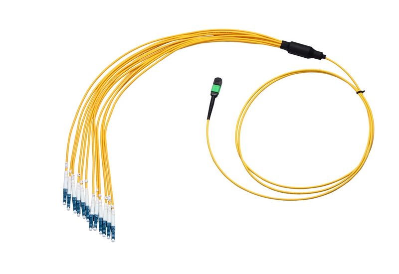 MTP Breakout Cable 30ft 48-Fiber Single-mode