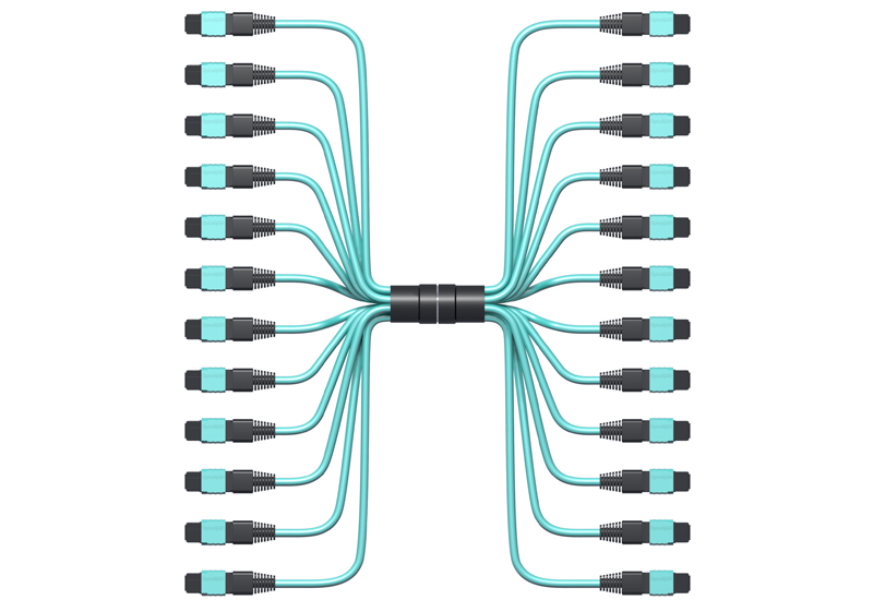 MTP Cable, 144-Fiber, Multimode, 10ft