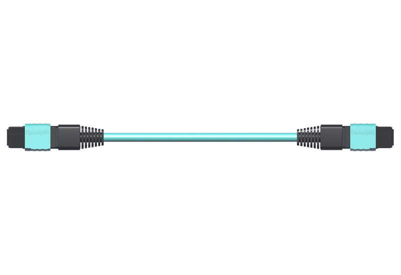 100G MTP Trunk Cable, 24-Fiber, Multimode, 100ft