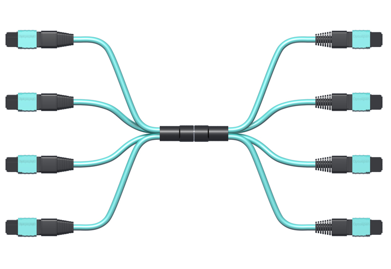 Multimode 100G MPO Fiber Cable, 48 Strand, 3ft