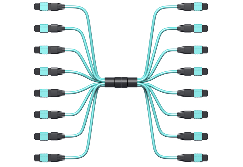 Multimode 100G MPO Fiber Cable, CFP2, 96 Strand, 6ft