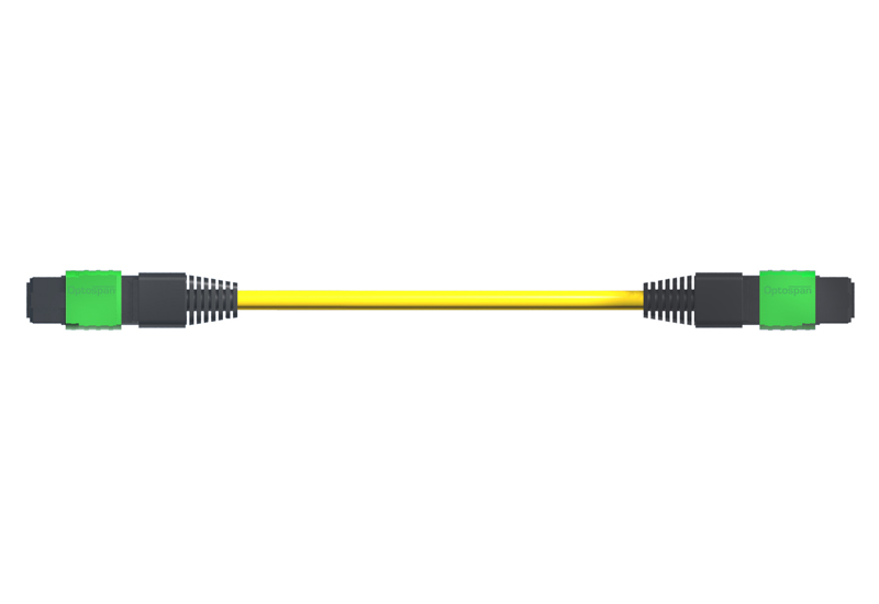 Single-mode Plenum 100G MTP Fiber Optic Cable, CPAK, 24 Strand, 5 Meter