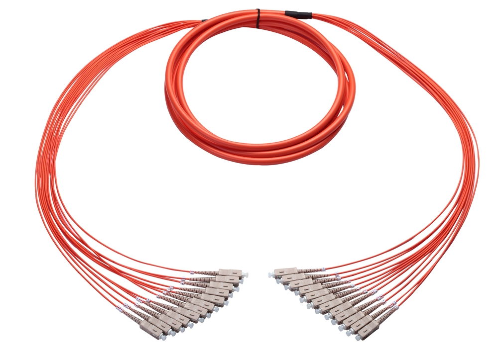 SC-SC Fan-Out Cable 12-Fiber Multimode 15ft