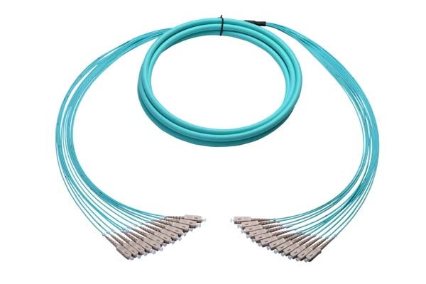 12-Fiber Breakout Fiber Cable Multimode 6ft SC-SC