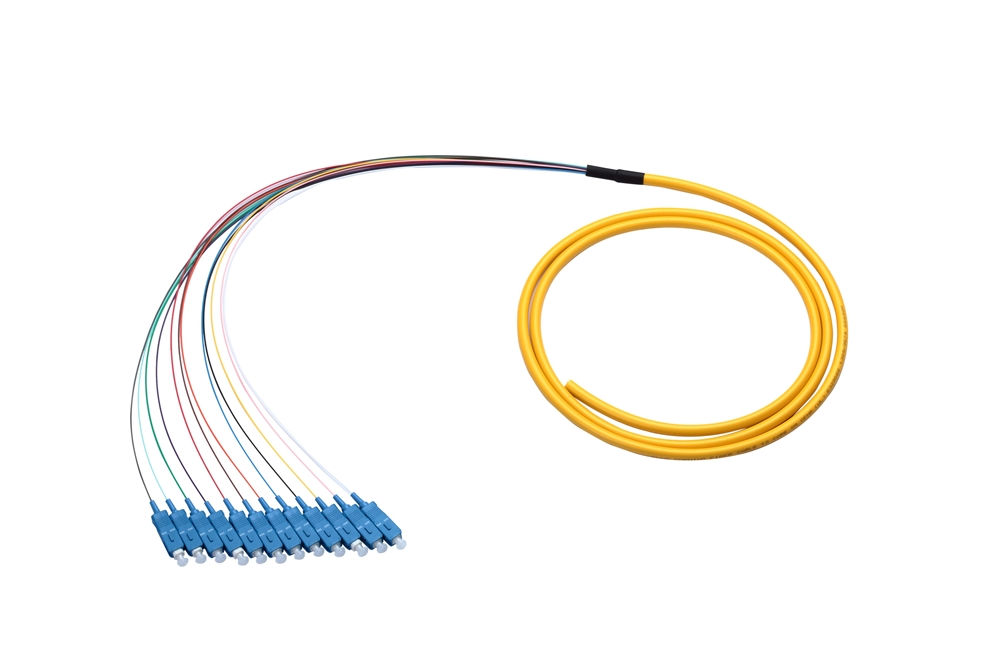 SC Fiber Pigtail 12-Fiber Single-mode 6ft