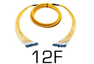 12 Fiber Breakout Cables