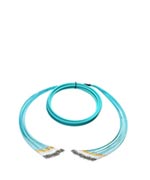 12 Fiber Breakout Cables