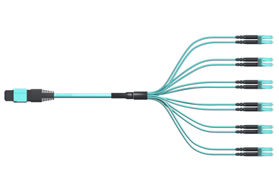 12 FIBER MTP HARNESS
