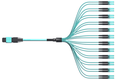 CFP/CXP TO SFP+ 24 FIBER MTP HARNESS